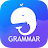 English Grammar: Learn & Test icon