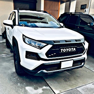 RAV4 MXAA54