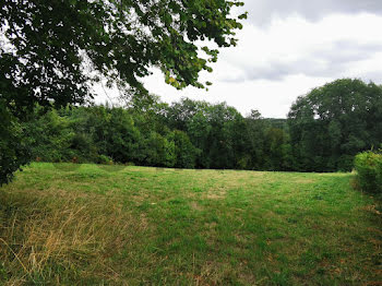 terrain à Chapdes-Beaufort (63)