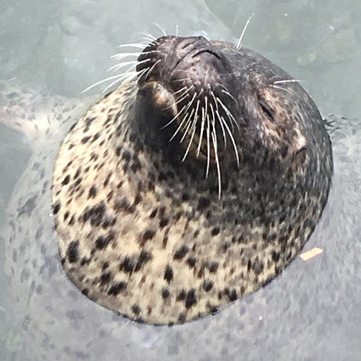 ユウ蔵のプロフィール画像