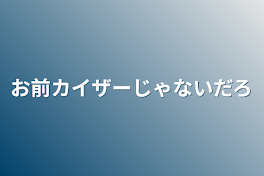 お前カイザーじゃないだろ