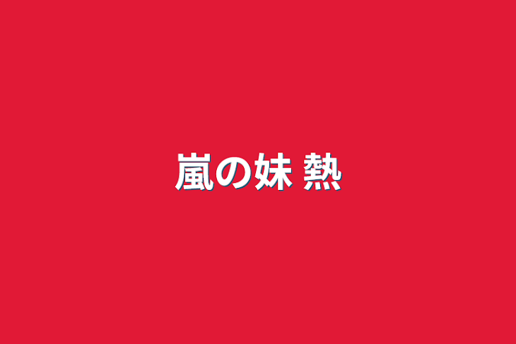 「嵐の妹  熱」のメインビジュアル