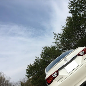 マークX GRX130