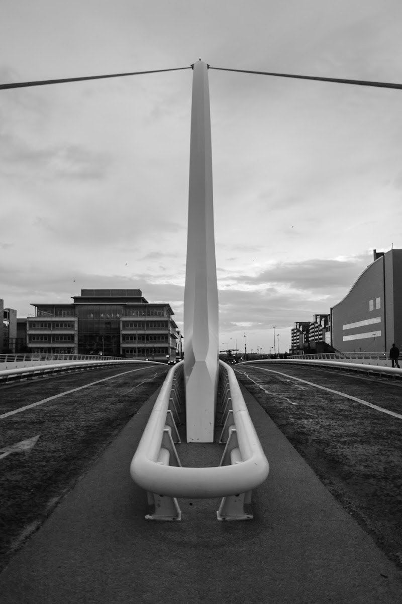 Il Profilo di Calatrava di MrSpock