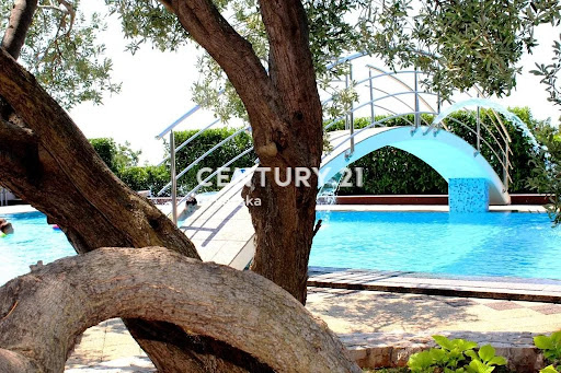 House with pool and terrace 1