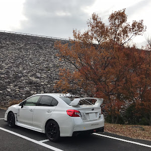 WRX STI