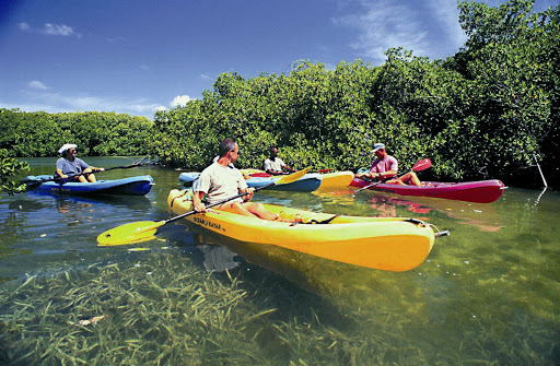 Kayakers ready for an outing in Dominica. 