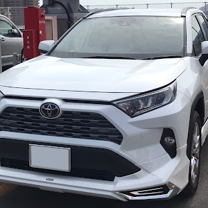 RAV4 ACA36W