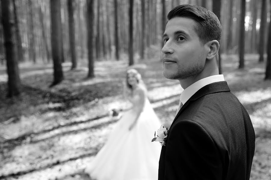 Photographe de mariage Alisa Pukhalskaya (alice777). Photo du 17 février 2017