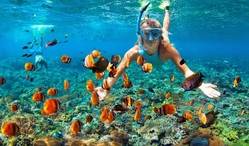 best-thrilling-activities-india-snorkeling-andaman-nicobar-islands_image