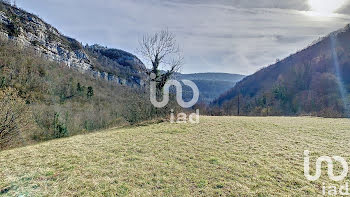 maison à Lavans-lès-Saint-Claude (39)