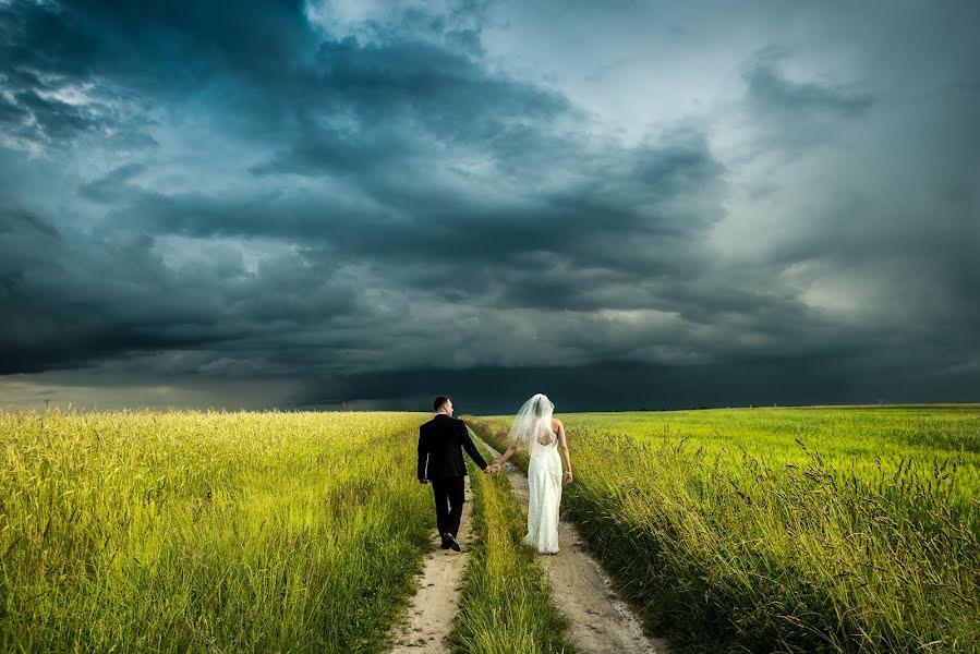 Wedding photographer Anna Dębowska (debowscyfoto). Photo of 21 January 2016