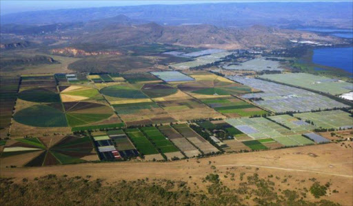 Gorge Farm, Africa's first electricity producer powered by biogas to sell surplus electricity to the national grid.