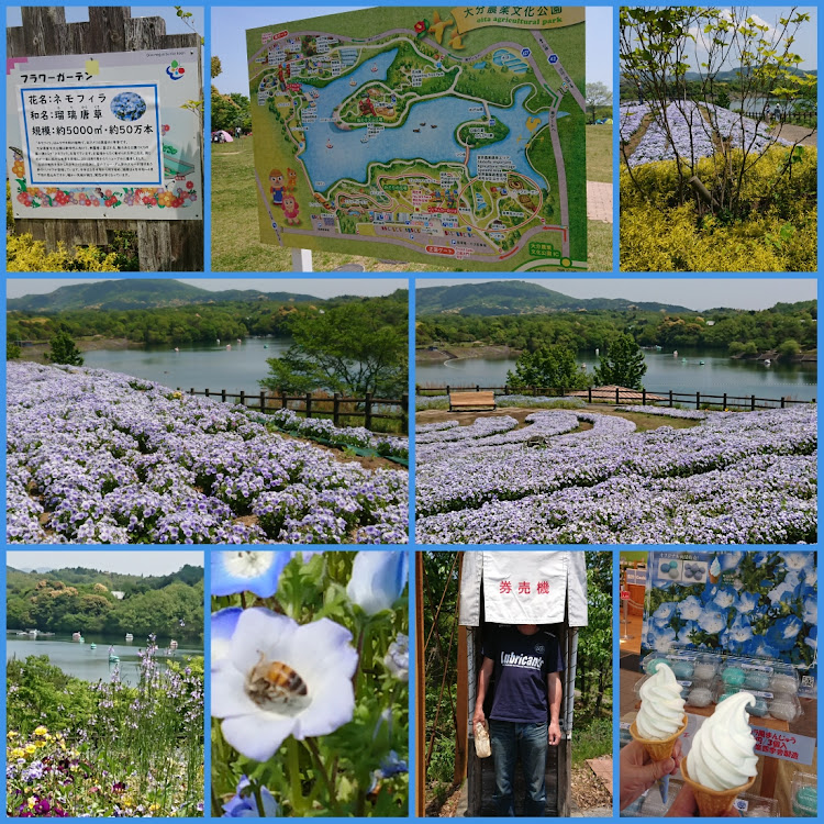 プリウスPHVの農業文化公園・宇佐市院内・熊本県杖立温泉・道の駅ルートステッカーに関するカスタム事例の投稿画像2枚目