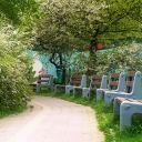 Rows of green park chairs