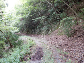 林道合流（バイクの轍あり）