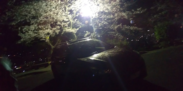 XVのドライブ・DIY・xv・愛車と夜桜に関するカスタム事例の投稿画像1枚目