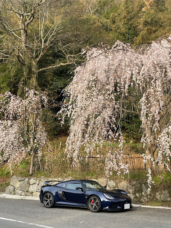 エキシージの桜と愛車・朝焼けドライブに関するカスタム事例の投稿画像14枚目