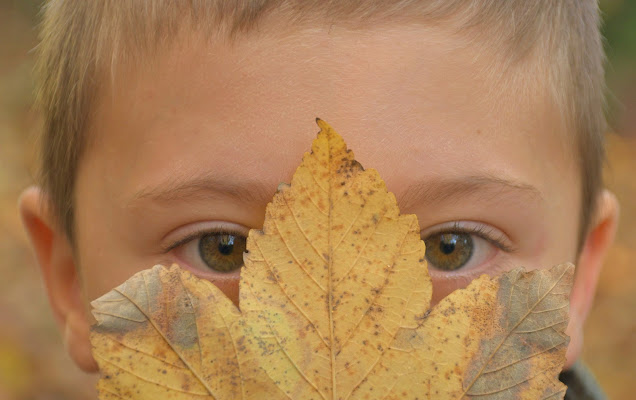 ritratto autunnale  di CiroMaddaluno