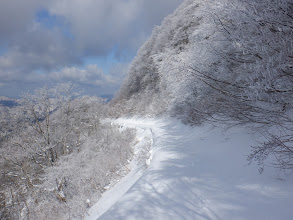 林道に問題なし