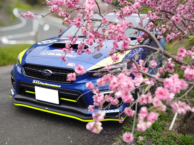 WRX STIの蛍光イエロー・自然に溶け込む⁉️・こっそりリニューアル計画中🙊・春ですね・桜に関するカスタム事例の投稿画像1枚目