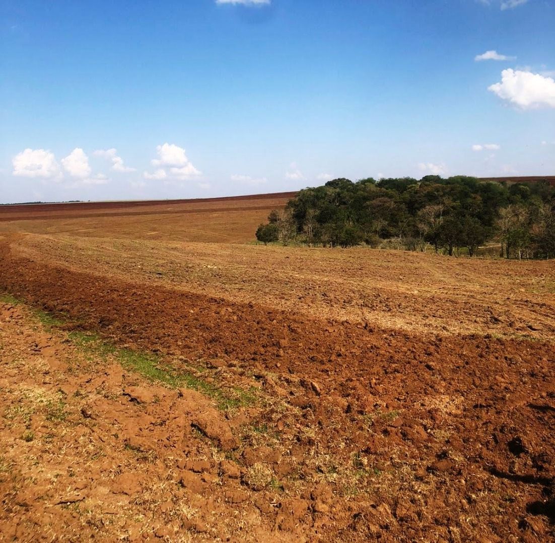 Fazendas à venda Área Rural de Avaré