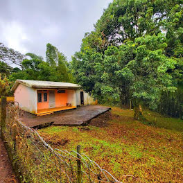 maison à Le morne rouge (972)