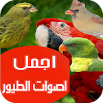 Cover Image of Unduh اصوات الطيور بدون انترنت 1.0 APK