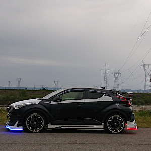 C-HR ZYX10