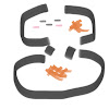 スノ担.おもち⛄️