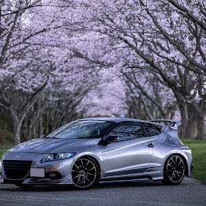 CR-Z ZF1