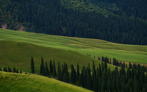Green Grass Hills Preview 1