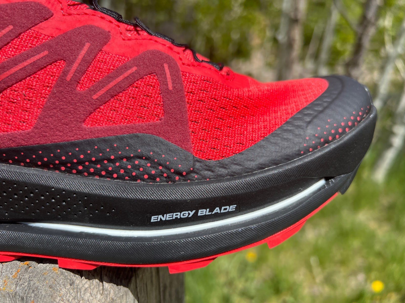 Bogholder Marvel Addition Road Trail Run: Salomon Pulsar Trail Review: The New Salomon! Plated,  Protective, Deeply Cushioned, Fun and Versatile.