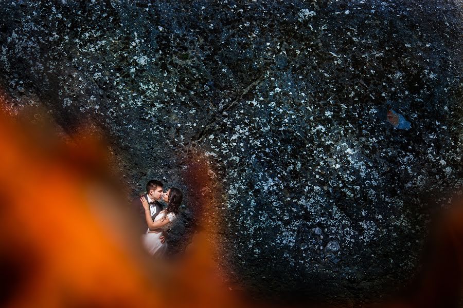 Fotógrafo de casamento Adina Dumitrescu (adinadumitresc). Foto de 26 de julho 2016