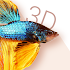 Betta Fish 3D Free - 3D Live Wallpaper2.0.4