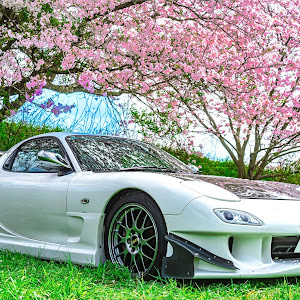 RX-7 FD3S 後期