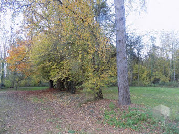 maison à Ferreux-Quincey (10)