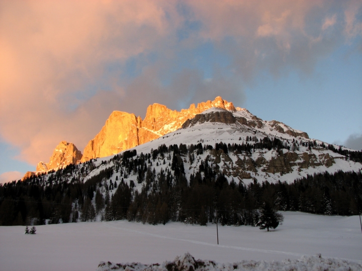 Montagna d'oro di Chechire Cat