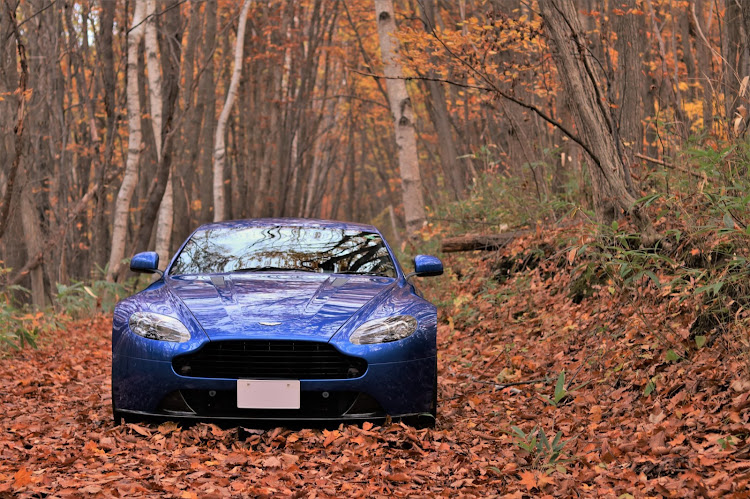 V8ヴァンテージのアストンマーチン　V8ヴァンテージ・紅葉・落ち葉の絨毯・過去picに関するカスタム事例の投稿画像1枚目