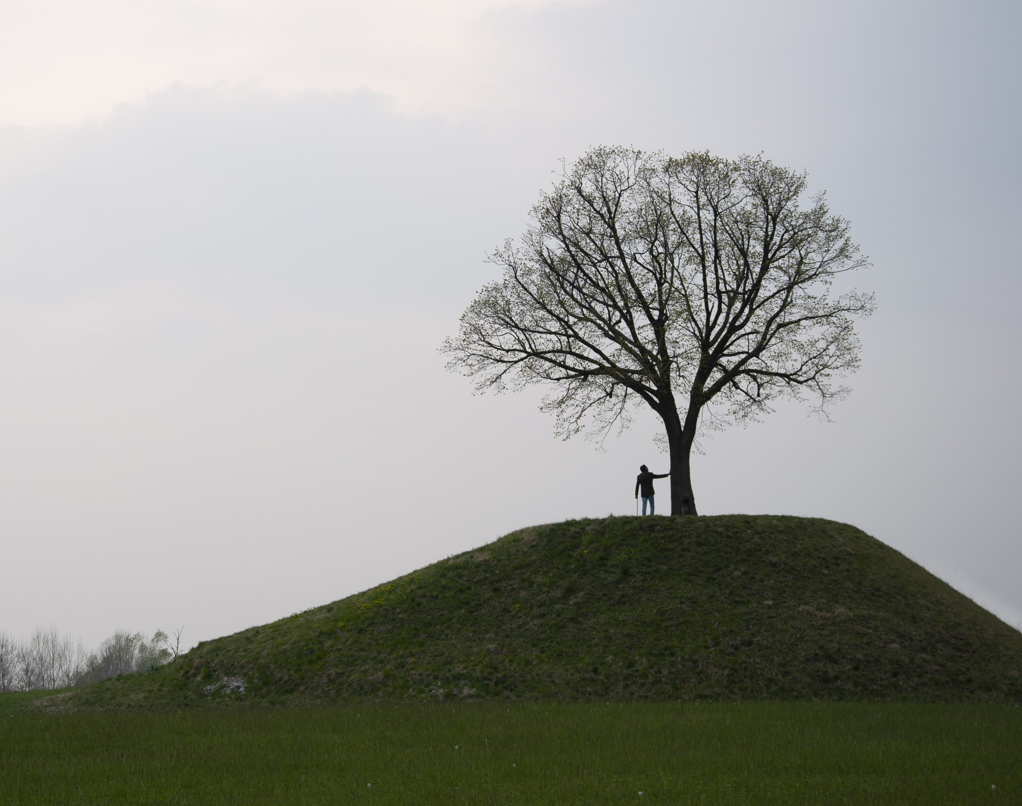 Al cospetto della Natura di AnnieMorgan