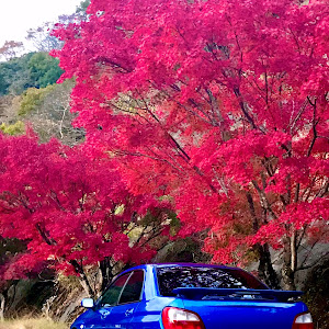 インプレッサ WRX GDA