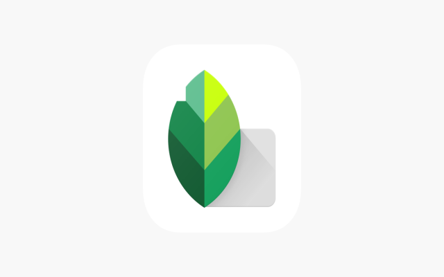 Snapseed for PC/MAC Preview image 1
