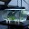 Aquarium Design Download on Windows