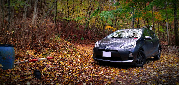アクアの紅葉と愛車・アクア乗りさんと繋がりたい・紅葉ドライブに関するカスタム事例の投稿画像3枚目