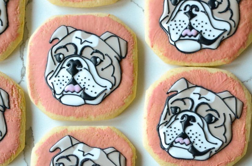 sugar cookie shaped into bulldog