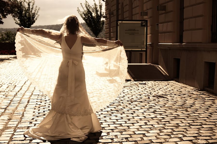 Fotografo di matrimoni Ferenc Szádvári (szadvariferenc). Foto del 6 marzo 2017