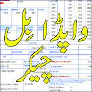 Wapda Bill Checker Pakistan  Icon