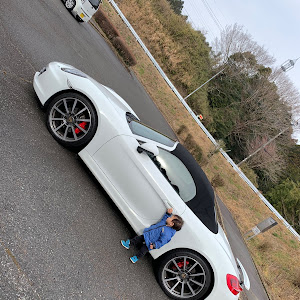 ボクスター 981MA123