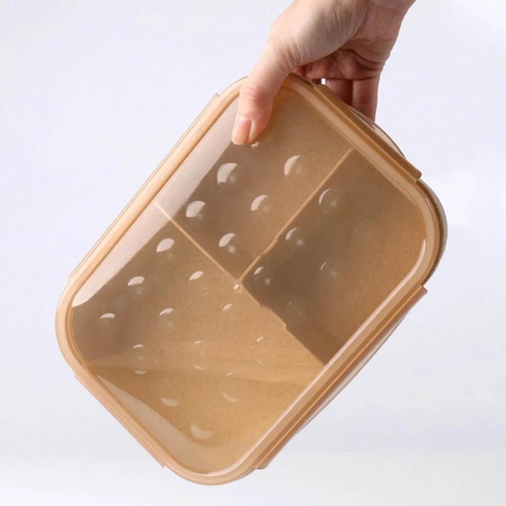 Title 6, Bento Box Déjeuner Divisée pour la Conservation...
