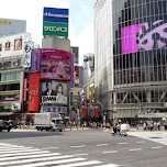 shibuya crossing with the starbucks in Shibuya, Japan 